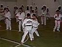 P1030460.JPG