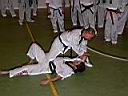 P1030495.JPG